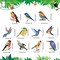 30PCS Bird Birthday Party Decorations – Hawaiian Tropical Hanging Swirl Foil Ceiling Swirls, Rainforest Animal Decor for Summer Beach Luau Tiki Party, Home & Classroom Supplies